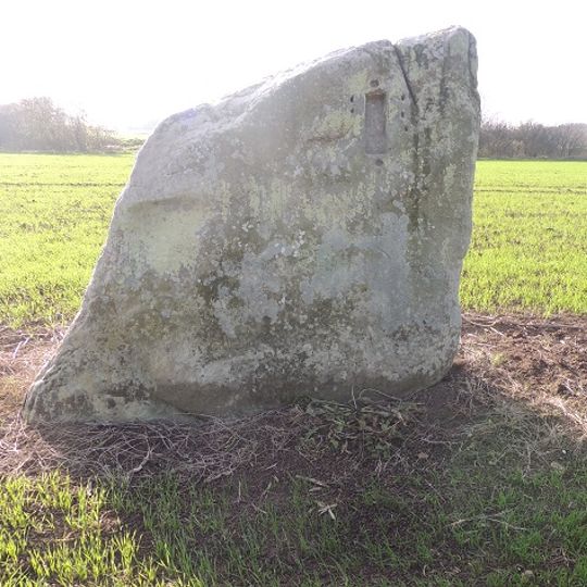 Pierre couvée de Courtomer