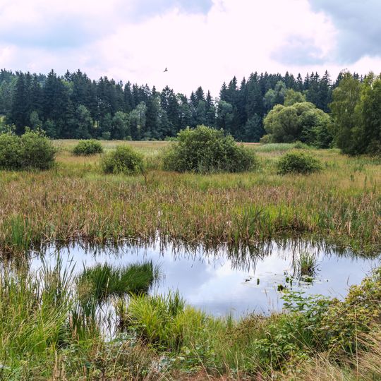 Trhovokamenické rybníky