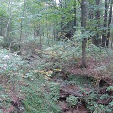 Kačerov (nature reserve)