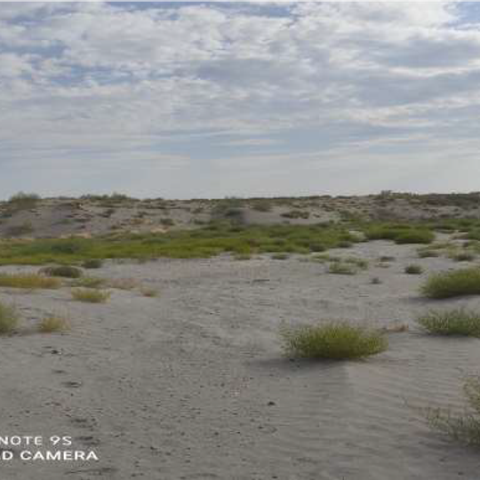 Mingbulak natural monument