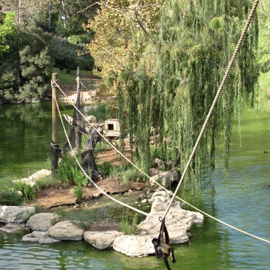 Jerusalem Biblical Zoo