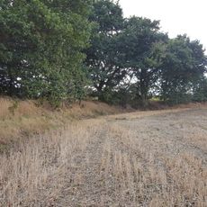 Roman Ridge: section 400yds (370m) long S of Abdy Farm