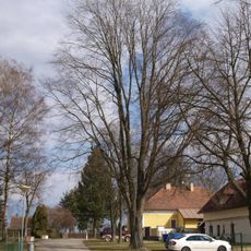 Jilm ve Slavošovicích