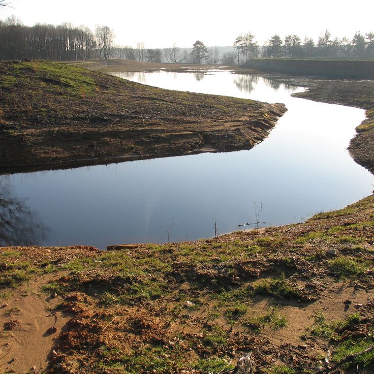 Parque Nacional Hoge Kempen