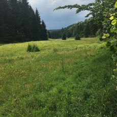 Oberes Freiberger Muldetal