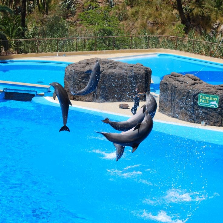 Palmitos Park