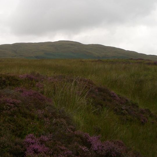 Foel Goch