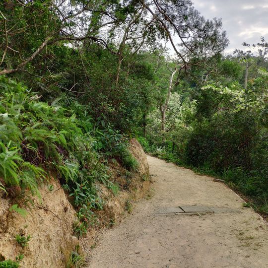 Hac Sá Long Chao Kok Coastal Trail