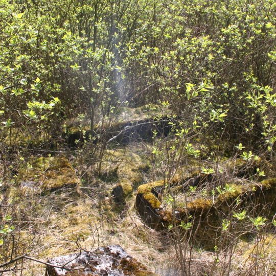 Cmentarz ewangelicki w Kolnie