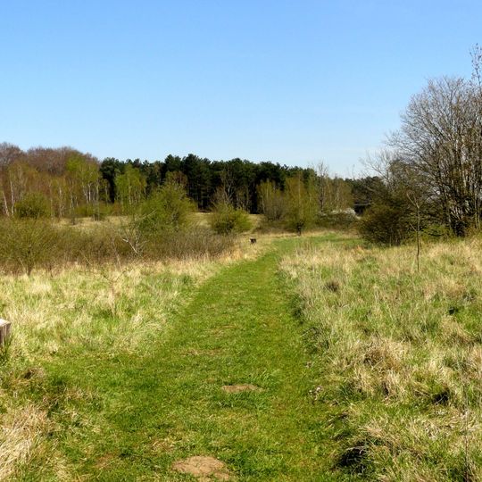 Oppidum de Bailleul-sur-Thérain