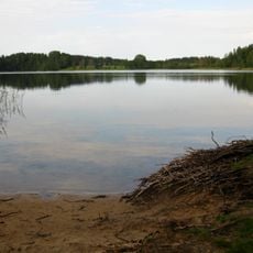 Valgjärv