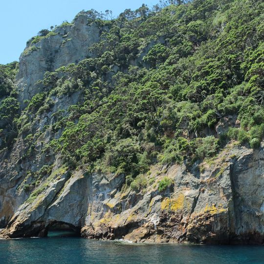Poor Knights Islands Nature Reserve