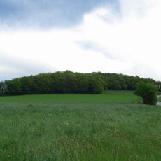 Nettel-Berg