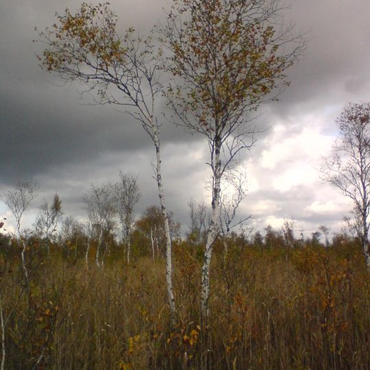 Avaste Nature Reserve