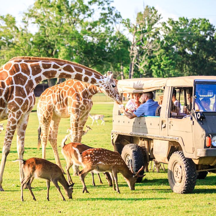 Centro de Vida Silvestre Global