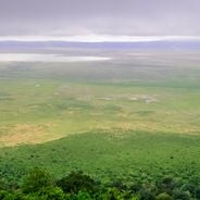 Ngorongoro Crater