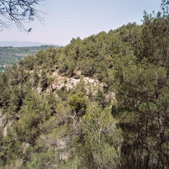 Cinglera de la Rovira de Sant Amanç
