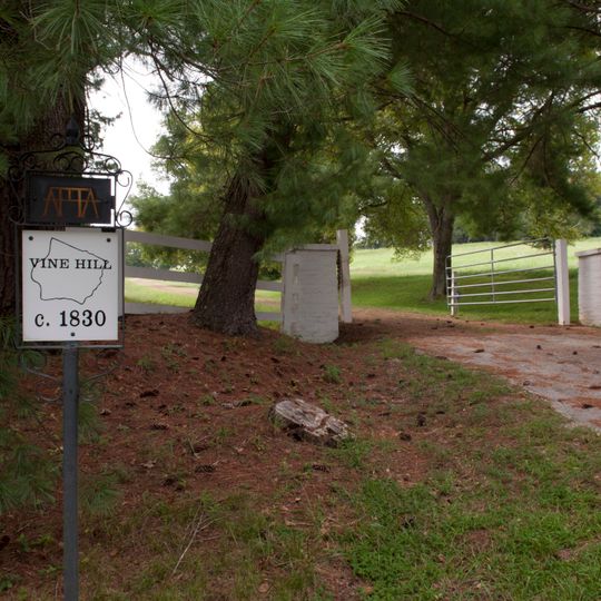 Vine Hill