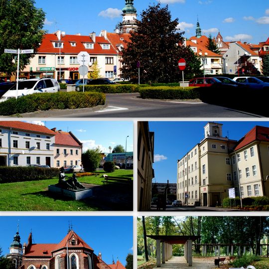 Syców