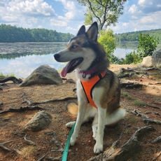 Browning Mill Pond Area Beach
