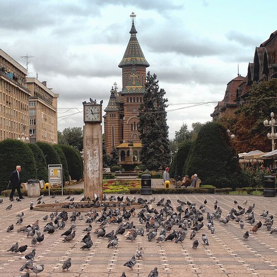 Catedral Metropolitana de Timișoara