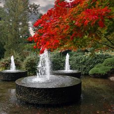 Forstbotanischer Garten Köln