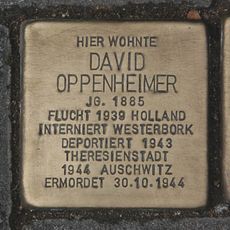 David Oppenheimer