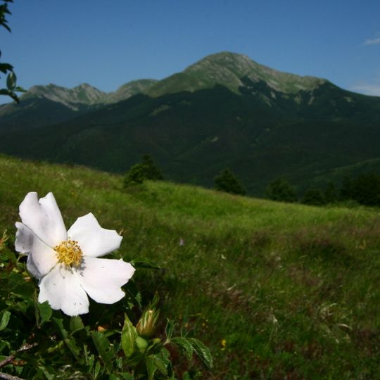 Riserva regionale Monte Prinzera