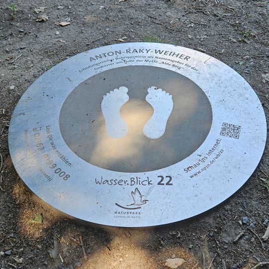 Wasser.Blick 22 Anton-Raky-Weiher
