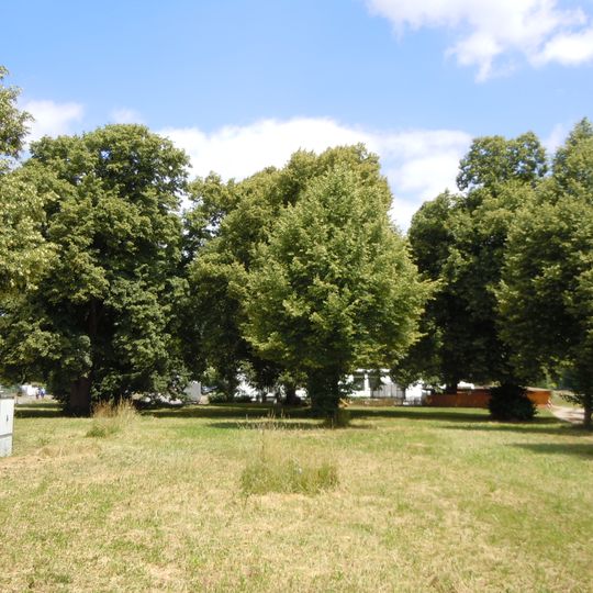 9 Linden an der Siebenlindenstraße