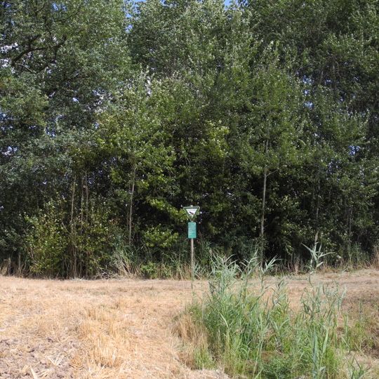 Habichtsstein und Warmetal bei Ehlen