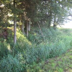 Ringwallanlage "Burg"