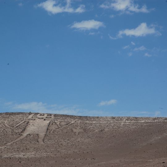 Gigante di Atacama