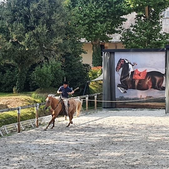 Haras de la Roche-sur-Yon
