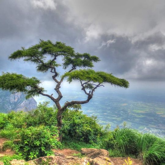 Nelliampathi