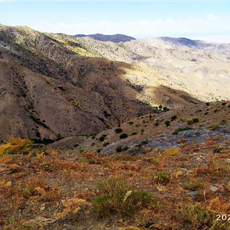 State wildlife sanctuary "Koshrabad"