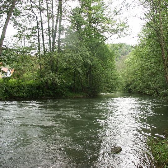 Tauber