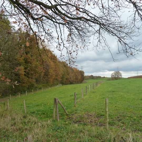 Roman villa Groot Haasdal-Billich