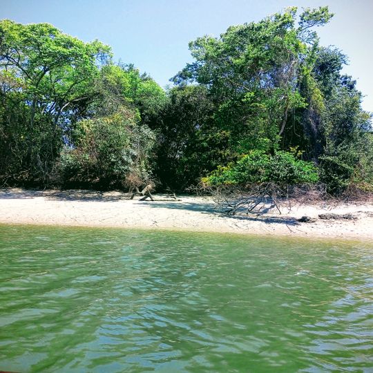 Área de Proteção Ambiental Barra do Rio Mamanguape