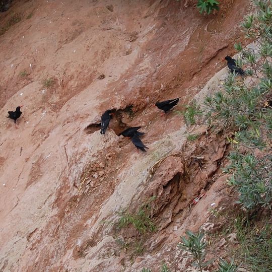 Imi-n-Ifri Formation