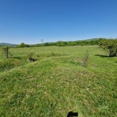 Castra of Tihău