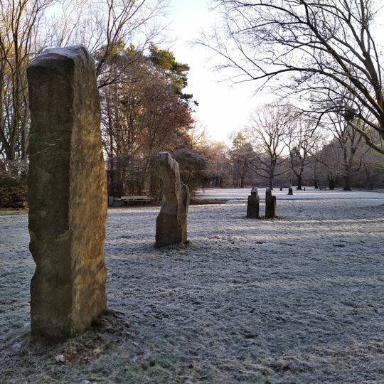 Studies of Human Being