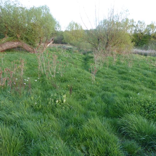 Southfield Farm Marsh