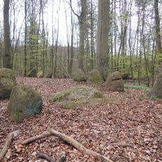 Großsteingrab Mankmoos 1