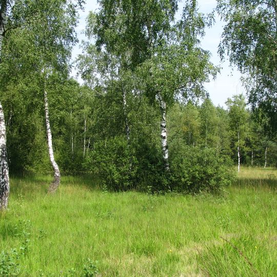 Moore und Buchenwälder zwischen Etterschlag und Fürstenfeldbruck