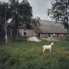 Zegeringen 1, Echten