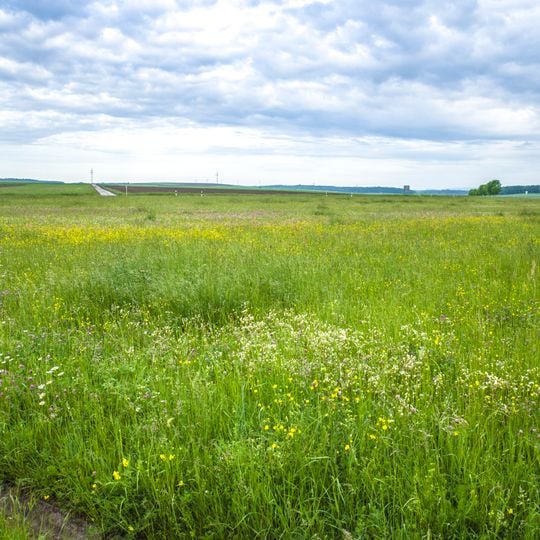 Geißleraue und Aurachwiesen bei Ostheim