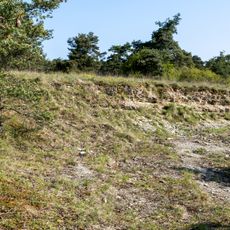 Muschelkalkprofil an der Höhfeldplatte SE von Thüngersheim