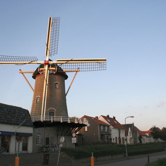 De Korenbloem
