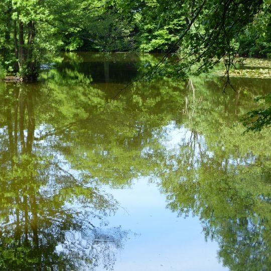 Teich "Das Bassin"